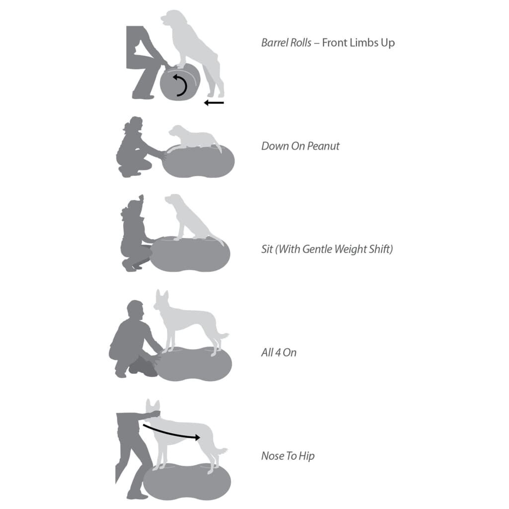 Fitpaws Plataforma de Equilibrio para Mascotas Mascotas Entrenador Multimodelo, , large Imagen numero 3