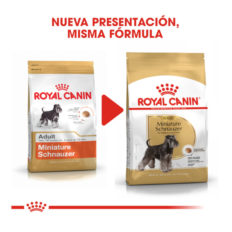 7.5 kg Royal Canin Adult Miniature Schnauzer pienso para perros, , large Imagen numero 3