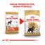 3 kg Royal Canin Adult Miniature Schnauzer pienso para perros, , large indicador imagen numero 3