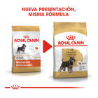 Royal Canin Adult Miniature Schnauzer pienso para perros, , large image number null