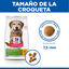 1.5 kg Hill's Science Plan Youthful Vitality Adult +7 Small y Mini Pollo pienso para perros, , large indicador imagen numero 4