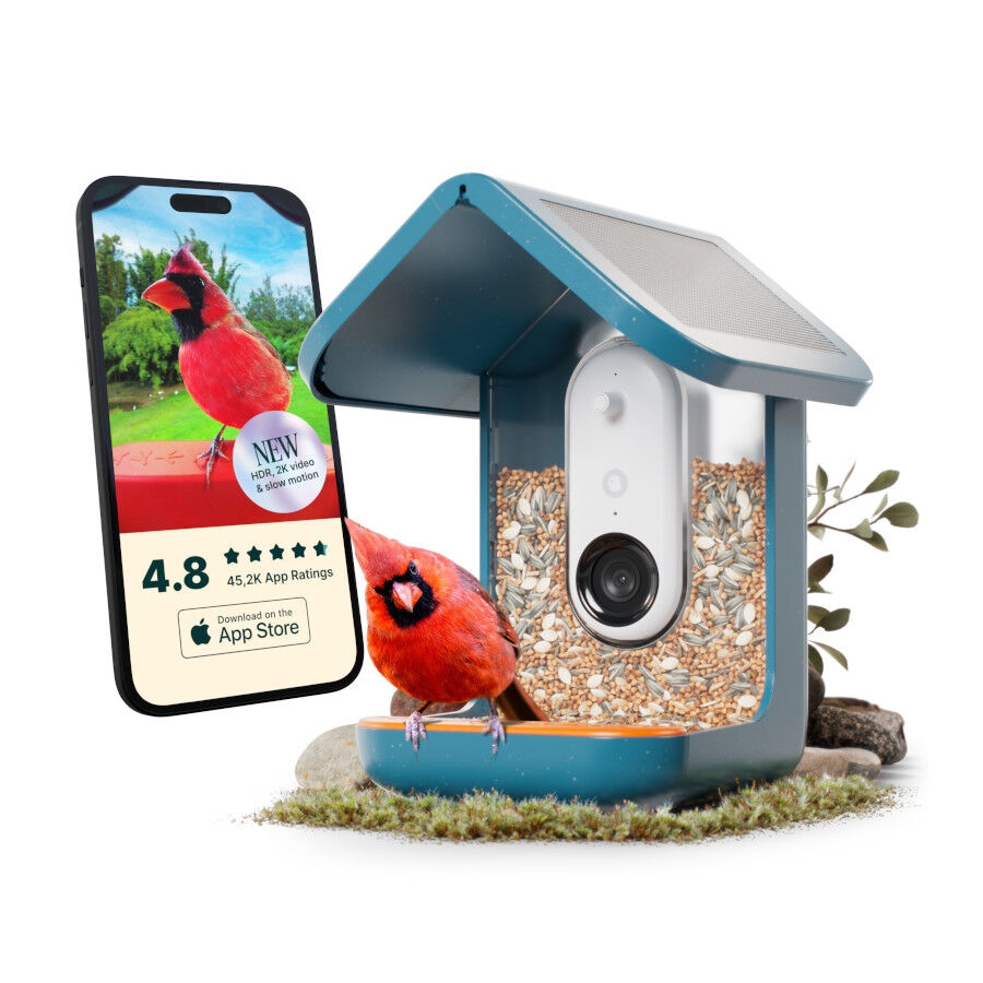 Birdbuddy Comedero Inteligente con C&aacute;mara para p&aacute;jaros, , large Imagen numero 6