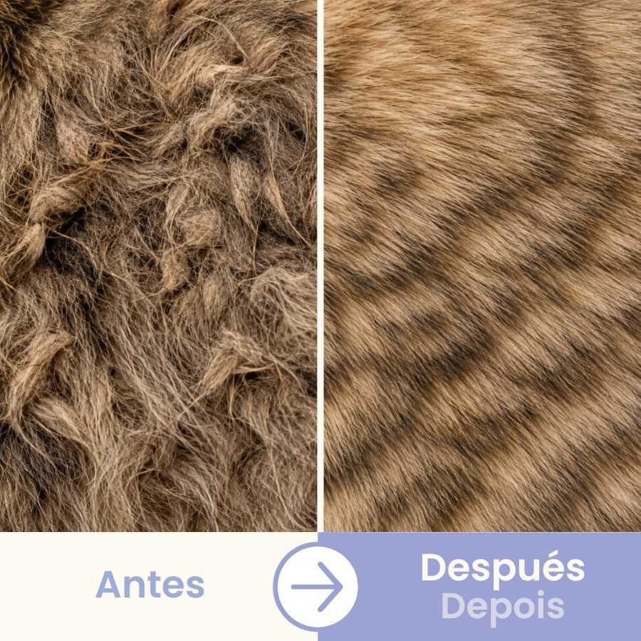 Bloob Peine Antipulgas para gatos, , large Imagen numero 5