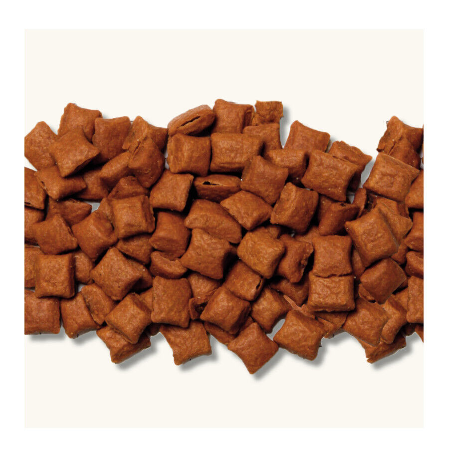 35 g Beaphar Bocaditos Salm&oacute;n para gatos, , large Imagen numero 2