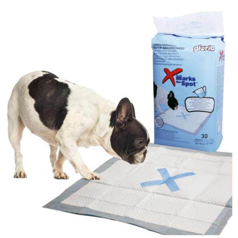 Gloria empapador súper absorbente para perros image number null