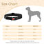 Nobleza - 2× Collar Perro, Collar Nylon Reflectante Suave Acolchado para Perros, Ajustable Collar Perro Pequeño con Cerradura de Seguridad, Collares de Entrenamiento para Perros (XS, Negro), , large indicador imagen numero 2