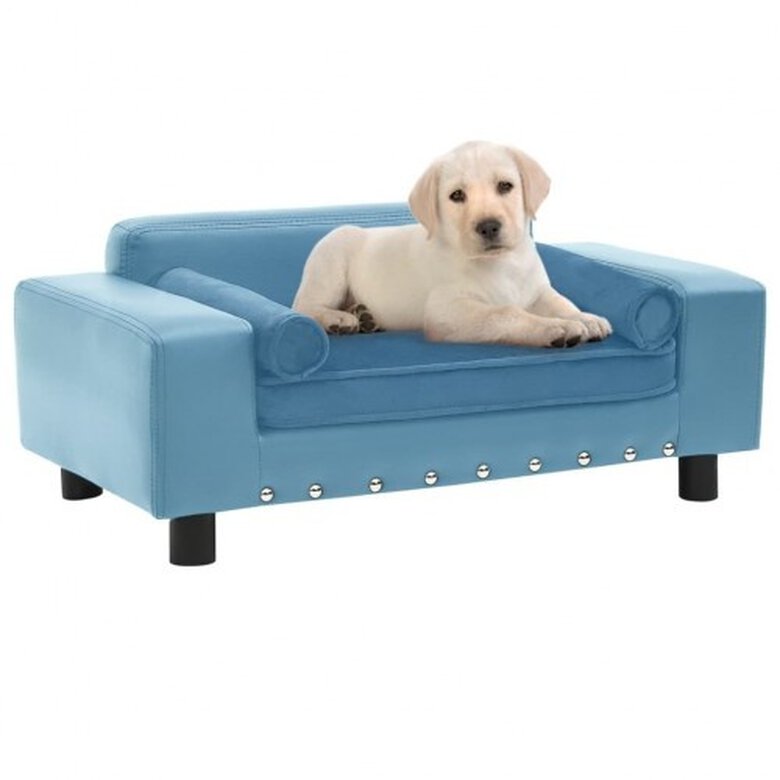 Vidaxl sofá con cojín lavable turquesa para perros, , large image number null