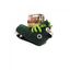 All for paws cocodrilo doggy's zapatillas de peluche verde para perros, , large indicador imagen numero 1