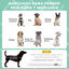 PawHut Cama Perros Elevada Gris, , large indicador imagen numero 4