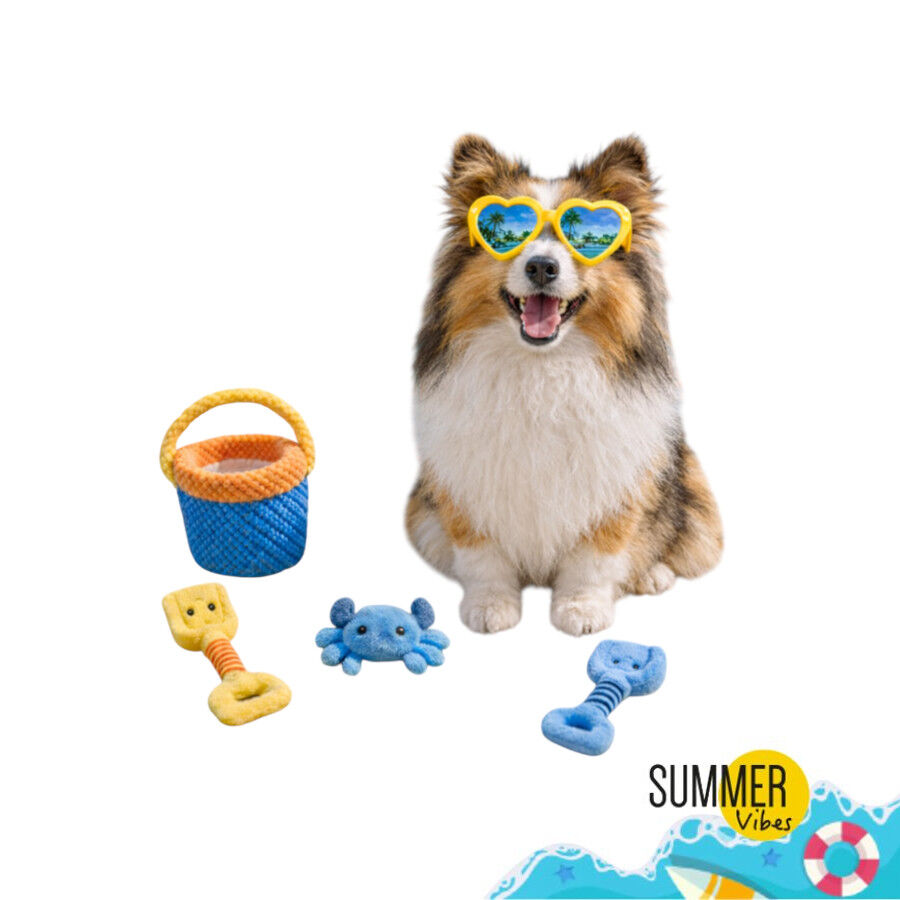 Summer Vibes Set Juguetes para perros, , large Imagen numero 7