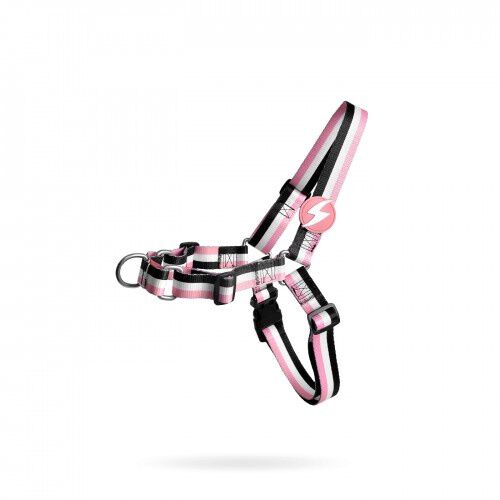 Dashi stripes arn&eacute;s fontral de nylon rosa y negro para perros, , large Imagen numero 1