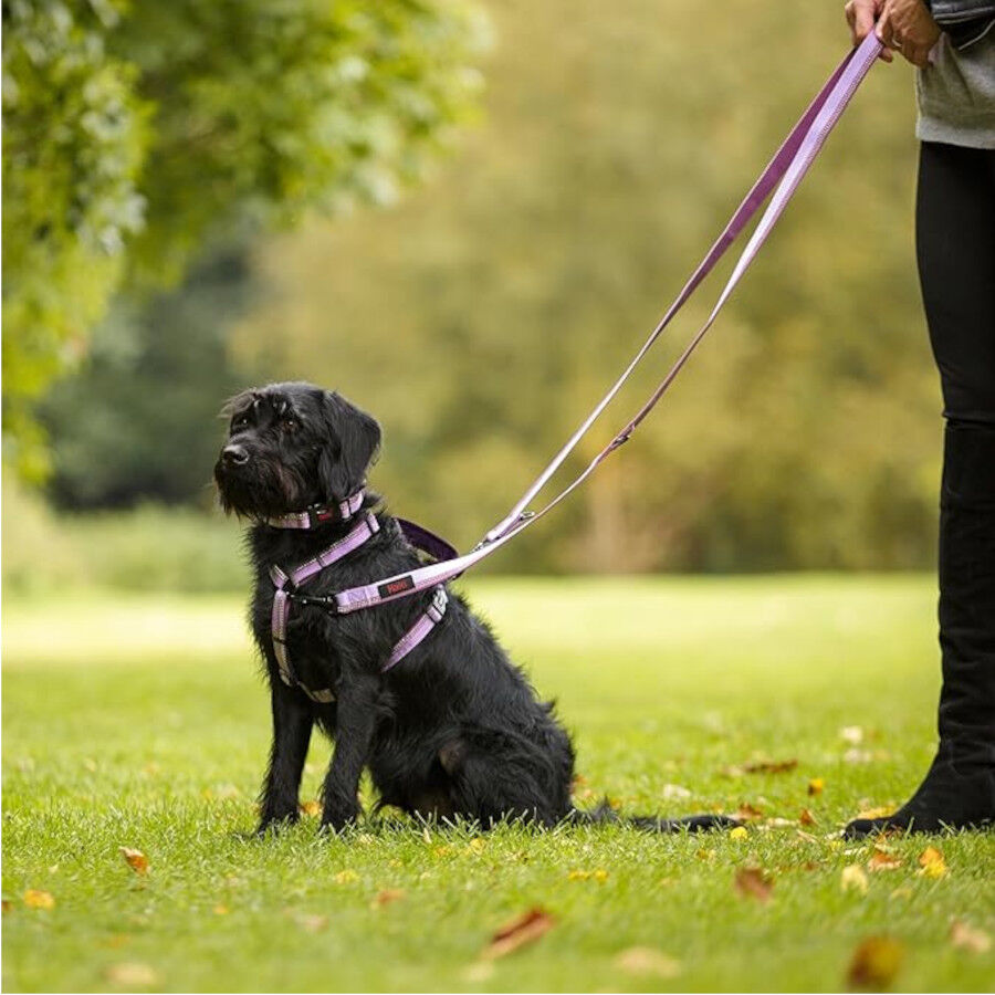 Halti arn&eacute;s de nylon ajustable morado para perros, , large Imagen numero 3