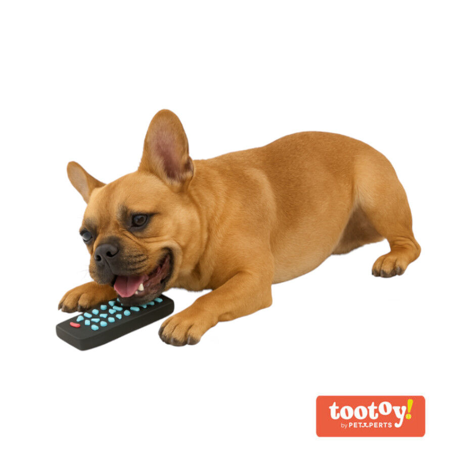 Tootoy! Chew TV Remote Mordedor con sonido para perros thumbnail