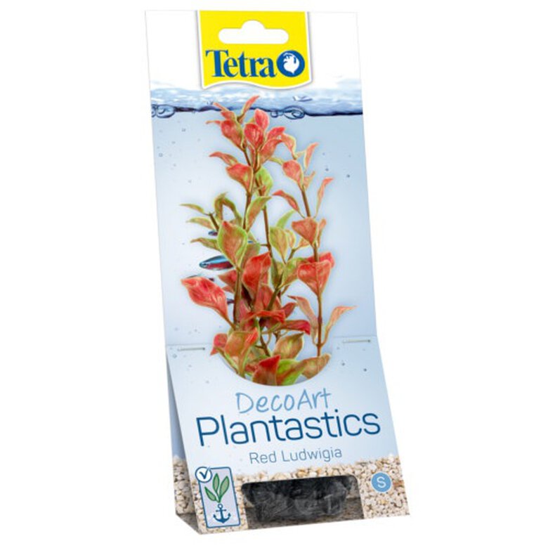 Tetra Ludwigia planta decorativa para acuario image number null