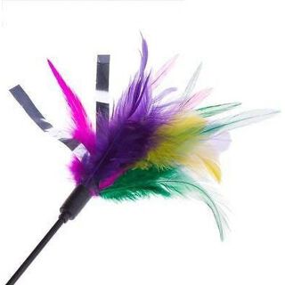 Caña juguete con pluma Feath ´R´ Stick para gatos color Variado