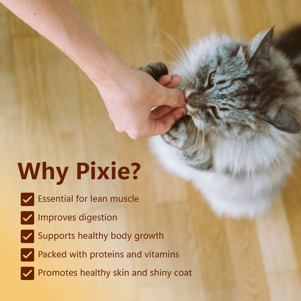 Golosinas para gatos Pixie: pescado (50 g/1,76 oz), , large Imagen numero 5