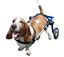 Silla de ruedas rosa para perros 0-4 kg autoajustable, , large indicador imagen numero 2