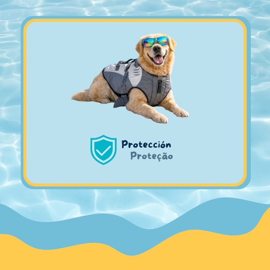 Summer Vibes Tibur&oacute;n Chaleco Salvavidas para perros, , large Imagen numero 4