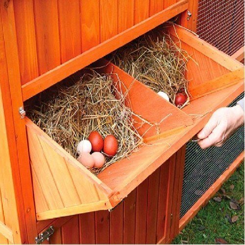 Finca casarejo noruega gallinero de gran tamaño para gallinas thumbnail