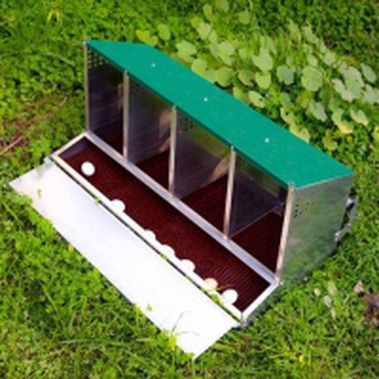 Ormital Ponedero Fénix 4 departamentos para gallinas thumbnail