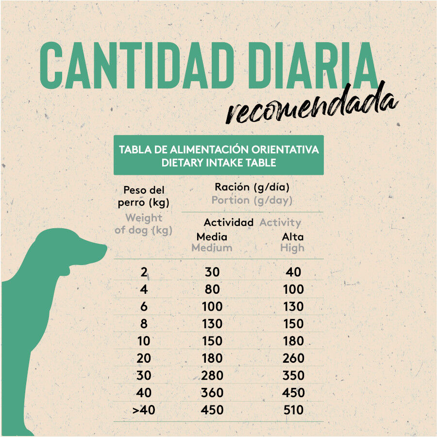12 kg Dibaq Sense Low Grain Light & Senior Pollo Pienso para perros, , large Imagen numero 6