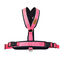 Arnés Reflectante Anti-Tirones en Forma "Y"- Ideal para Lebreles: Galgo Italiano, Whippet, Galgo, Podenco - Seguro, Transpirable y Duradero - Perfecto para Caminar, Entrenar y Correr - ROSA, XXL, , large indicador imagen numero 11