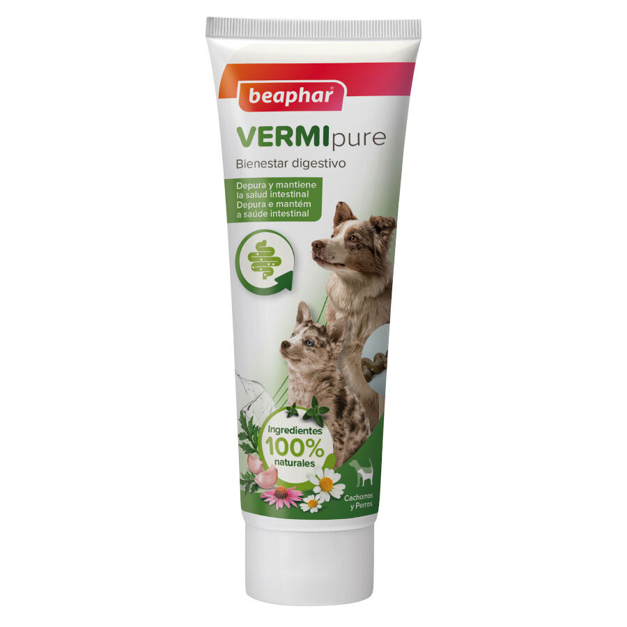 125 g Beaphar Vermipure Desparasitante pasta para perros, , large Imagen numero 1