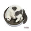Leeby Domingo cama rascador de cartón vichy para gatos, , large indicador imagen numero 2