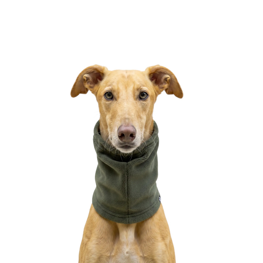 Gotoo Bufanda Polar Verde para perros, , large Imagen numero 7
