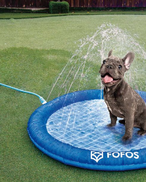 Piscina de Chapoteo para Perros, , large Imagen numero 4