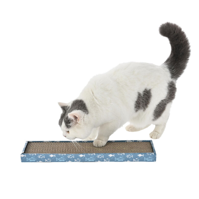 Leeby Fitz tabla rascador de cartón azul para gatos thumbnail