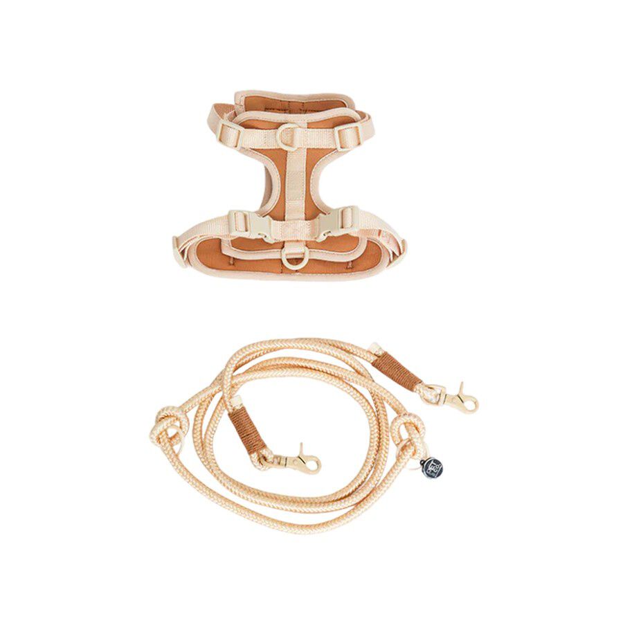 Pet and Co Set De Arn&eacute;s y Correa Marr&oacute;n Rex - Perros, , large Imagen numero 1