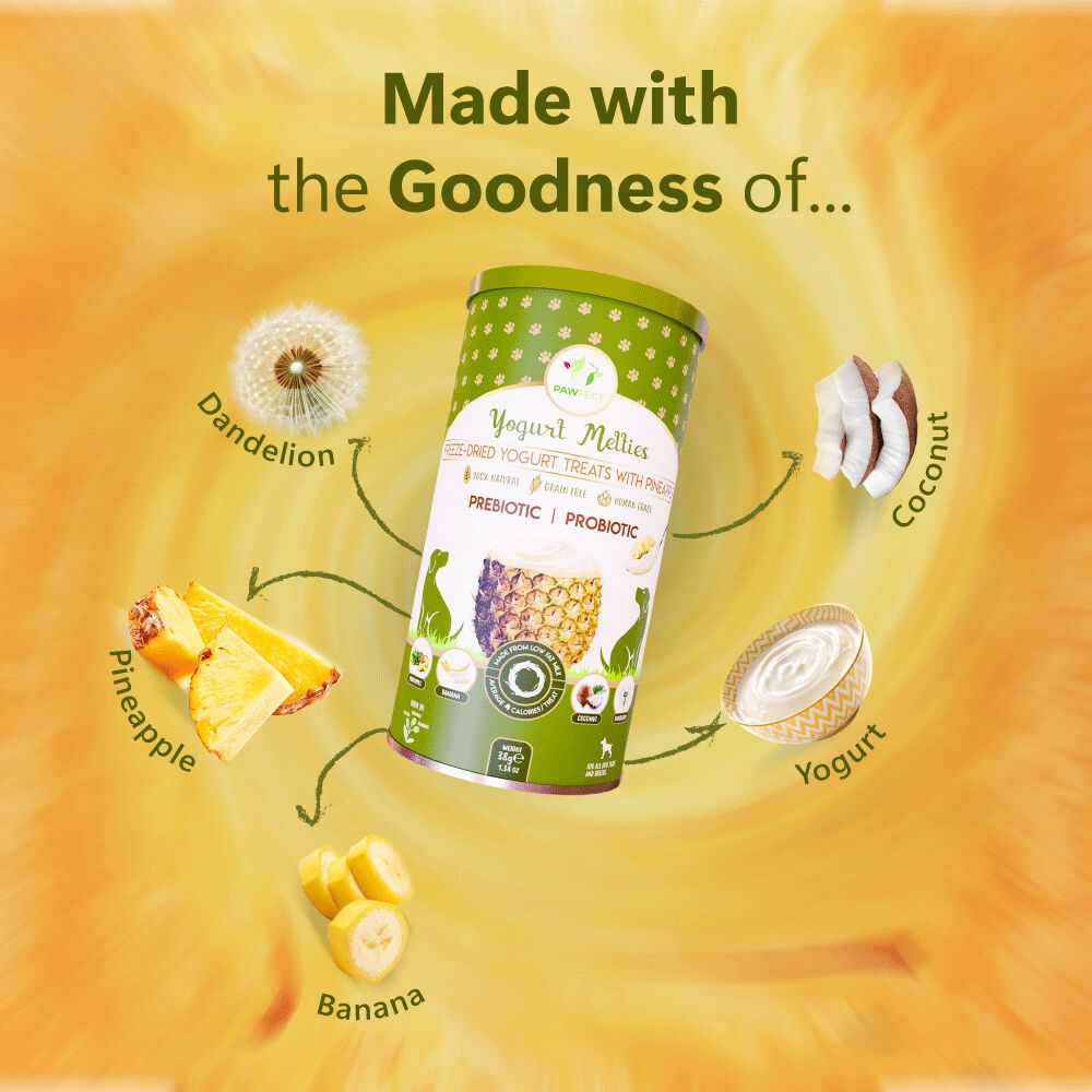 Golosinas prebi&oacute;ticas y probi&oacute;ticas para perros: pi&ntilde;a y yogur (38 g/1,34 oz), , large Imagen numero 4