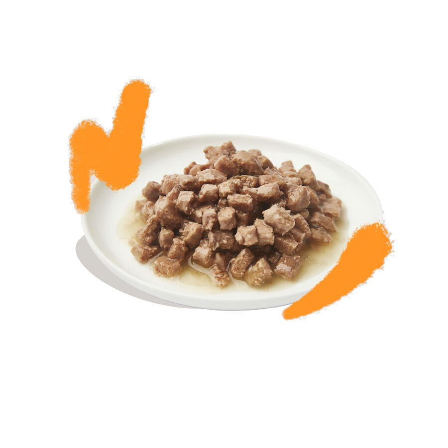 Edgard &amp; Cooper Adult Trocitos en Salsa lata para gatos thumbnail