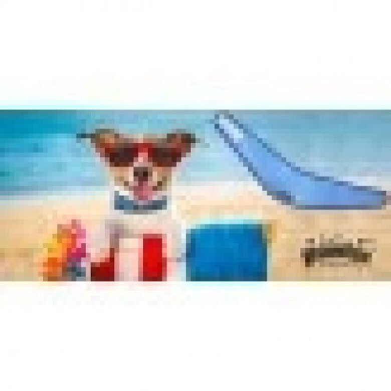 Bandana refrescante para perro color Azul, , large image number null
