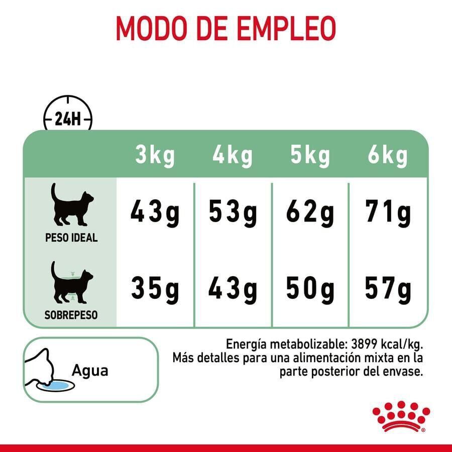 Royal Canin Adult Digestive pienso para gatos thumbnail