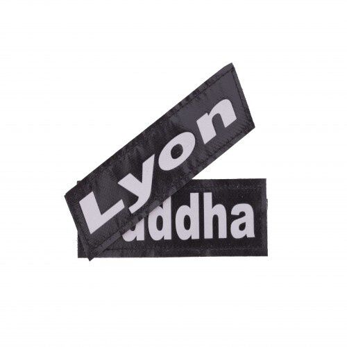 Pack de etiquetas personalizables Super Doggy reflectantes para perros, , large Imagen numero 1