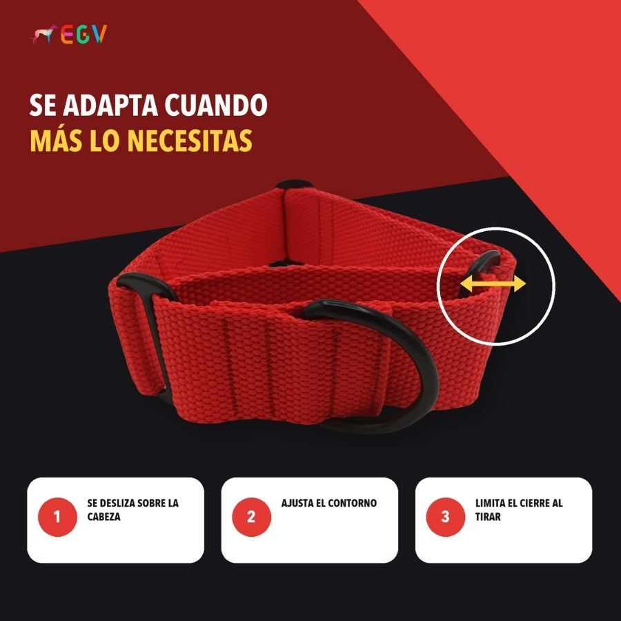 EGV - Collar Martingale. Collar galgo hecho a mano en Espa&ntilde;a (Rojo), , large Imagen numero 3