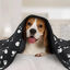 Nobleza – 6 x Manta Suave de Felpa para Perros, Gatos y Otras Mascotas. Lavable. Color Negro, 120*100 cm, , large indicador imagen numero 2