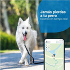 Tractive Localizador GPS color azul para perros, , large image number null