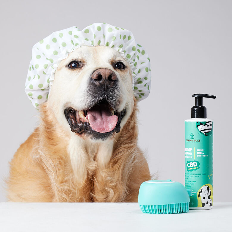 CandidTails Champú aceite de cáñamo para mascotas thumbnail