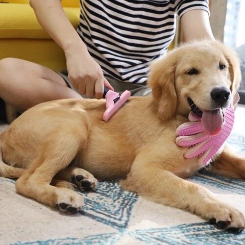 Cepillo MyPetCare para mascotas color Rosa, , large Imagen numero 2