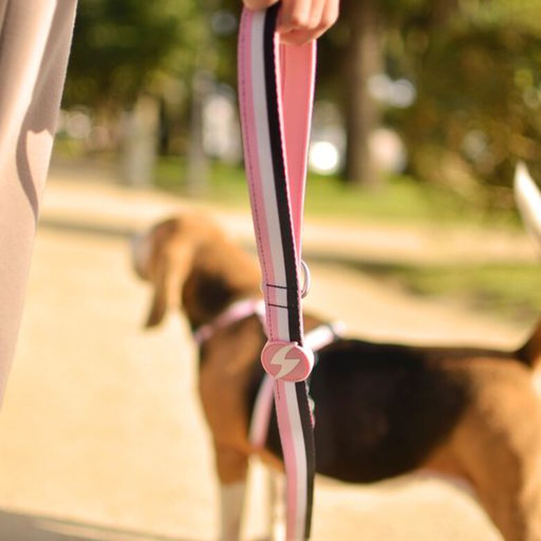 Dashi stripes correa de poliéster rosa y negro para perros, , large image number null