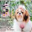 Petuxe champú vegano para perros y gatos, , large indicador imagen numero 5