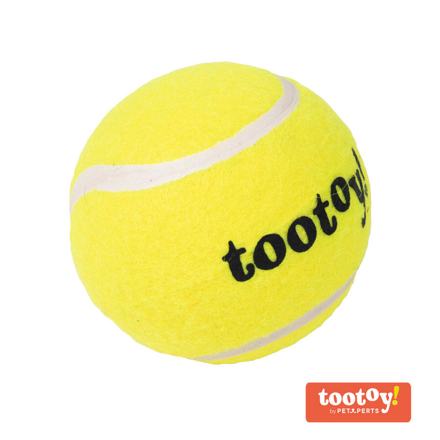 Tootoy! Chase Squeaker Ball pelota de tenis para perros