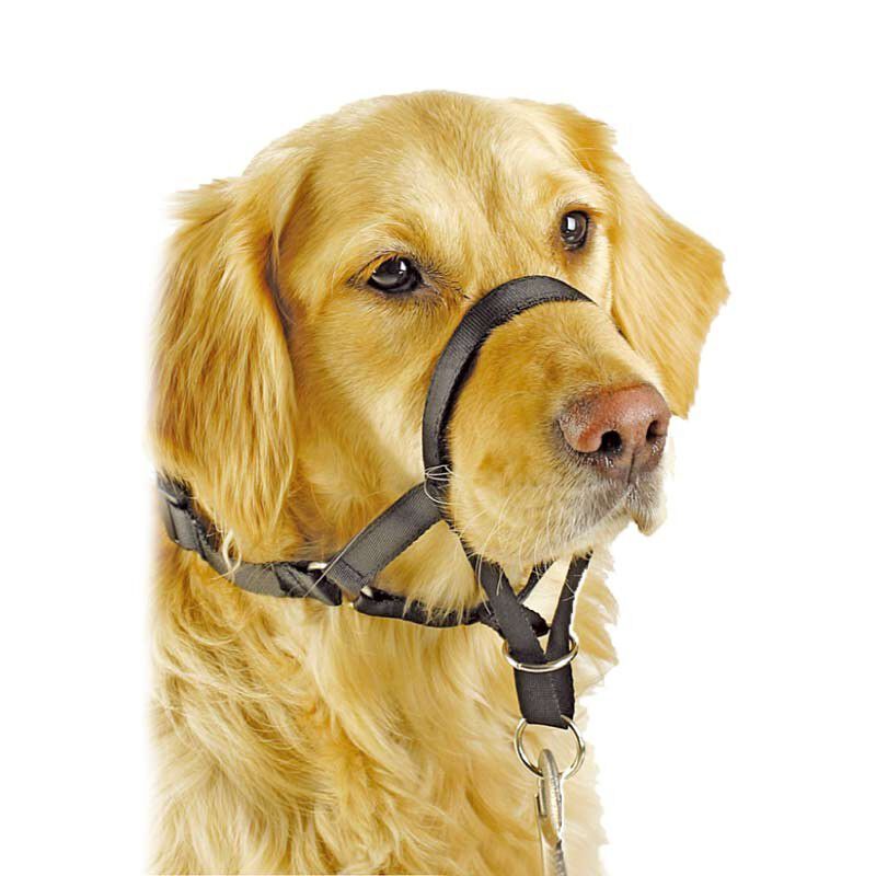 Collar Anti Tirones PawiseTalla 6, , large Imagen numero 2