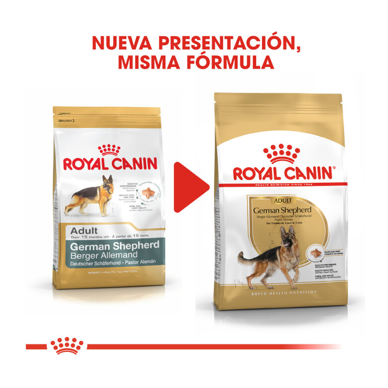 Royal Canin Adult Pastor Alemán pienso para perros, , large image number null