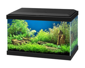 Ciano acuario Aqua 20 Negro