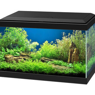 Ciano acuario Aqua 20 Negro