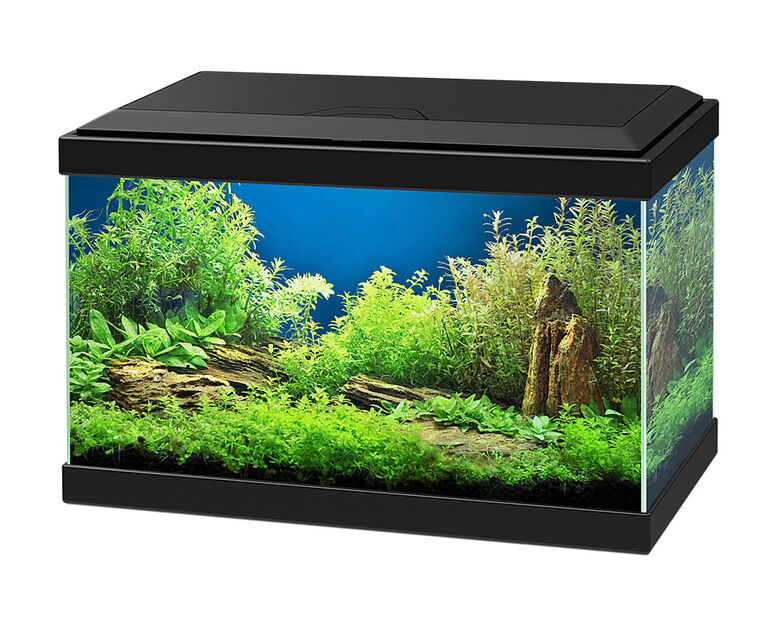 Ciano acuario Aqua 20 Negro thumbnail